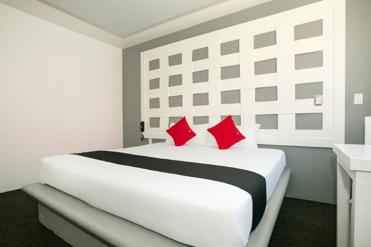 Hotel Euro Confort,Pachuca Экстерьер фото